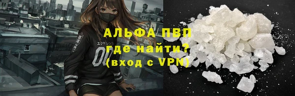 молекула духа Елизово