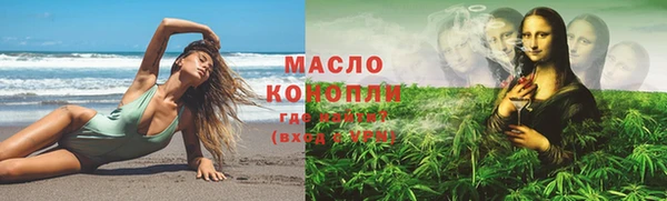 spice Ельня