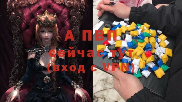 таблы Дмитриев