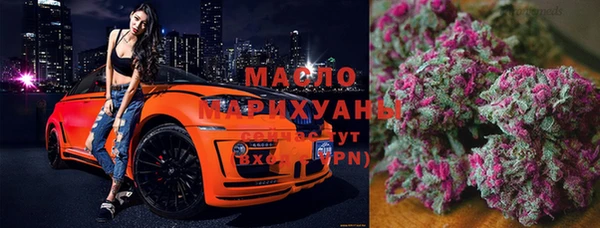 стаф Дмитровск