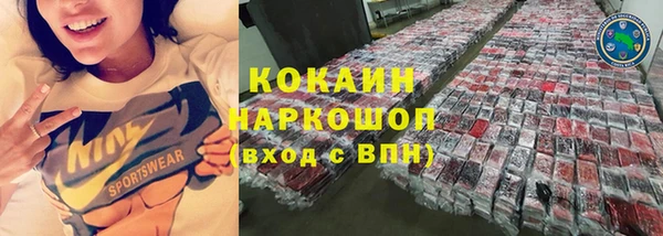 молекула духа Елизово