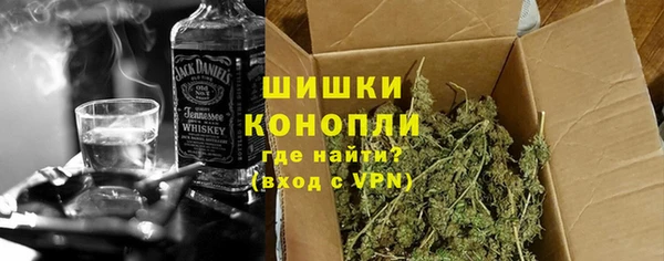 дмт Елабуга