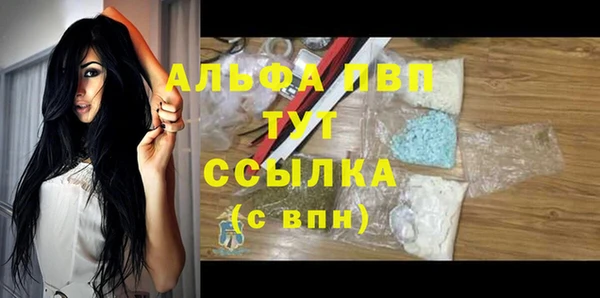 spice Ельня
