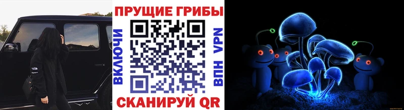 shop состав  Находка  Галлюциногенные грибы ЛСД 